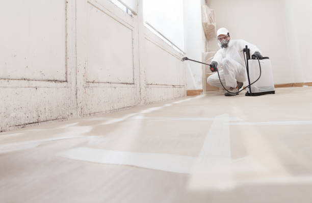 24/7 Emergency Attic Mold Removal experts in Green Cove Springs, FL