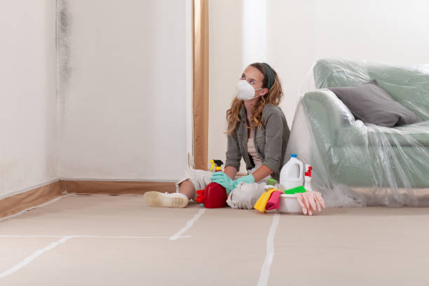 Reliable Mold Cleanup contractor in Green Cove Springs, FL by Cheap Mold Removal